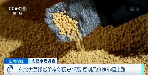 进口大豆最新价格动态解析报告