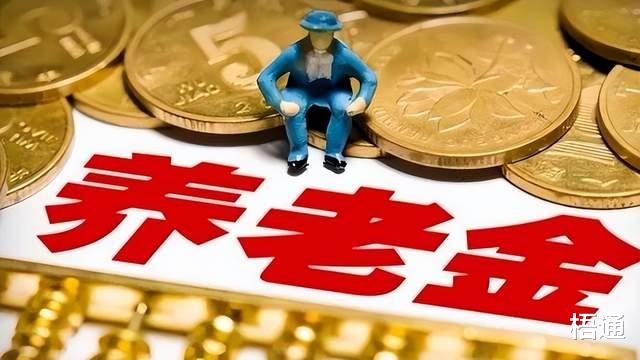 老人金最新动态，政策更新与社会关注焦点