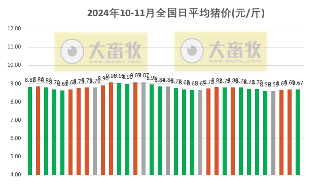 全国最新猪价行情分析报告