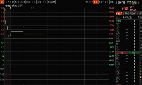 ST新梅最新消息公告全面解读