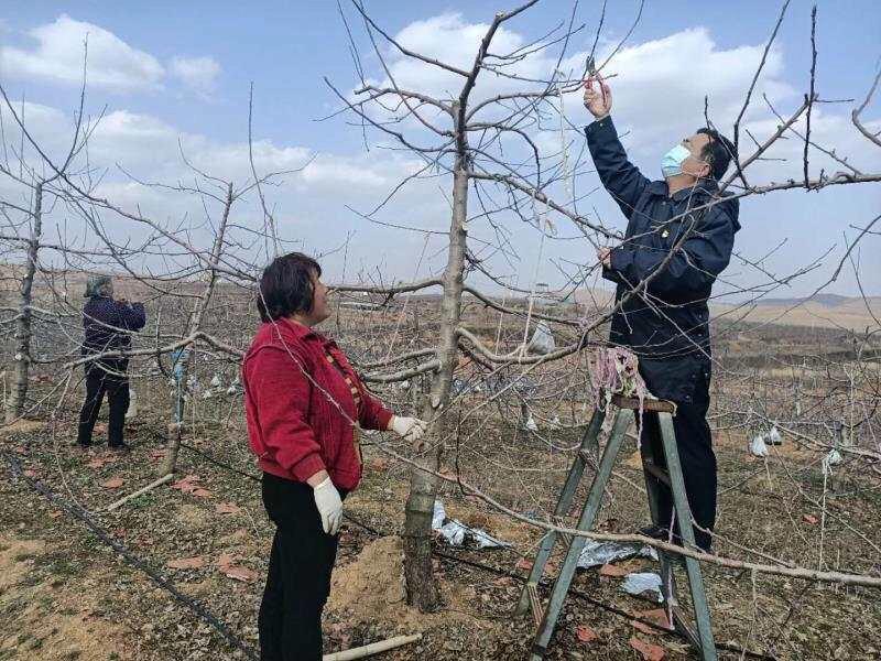 山东疫情最新规定及应对策略概述