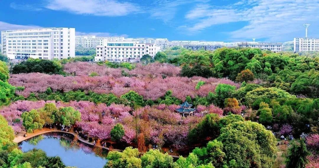 湖南省蓬勃发展新动态，繁荣景象展现新风采