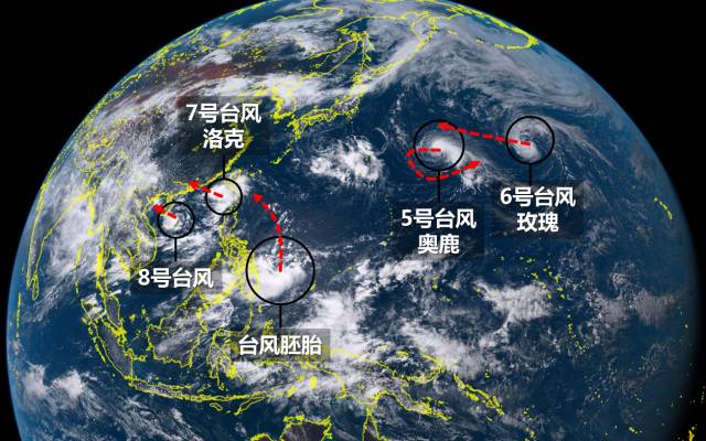 台风劳拉最新动态，全面解析影响及应对措施