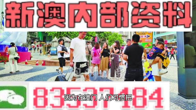 2024新澳正版免费资料大全,深度数据应用实施_网页款31.248