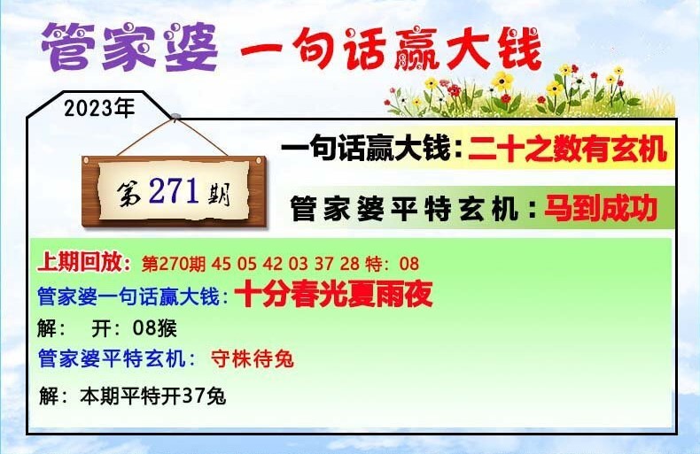 202管家婆一肖一码,广泛的关注解释落实热议_探索版42.437