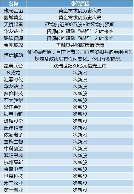 2024新澳精准正版资料,效率资料解释定义_V版63.746