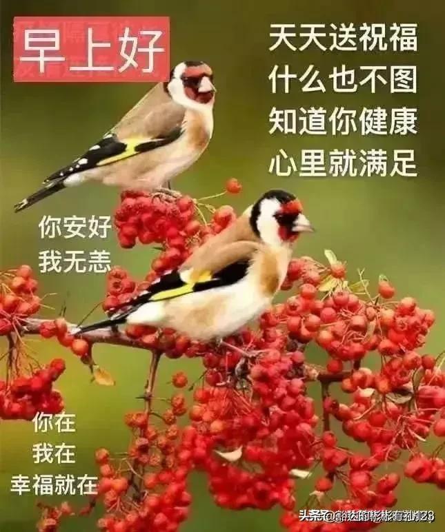 微信最新早安图片，传递正能量的日常问候与问候语