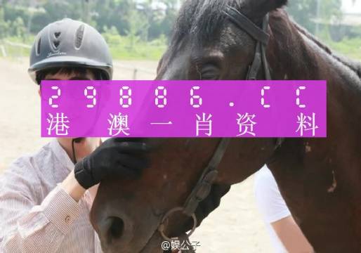 今晚上澳门必中一肖,定性评估说明_KP23.552