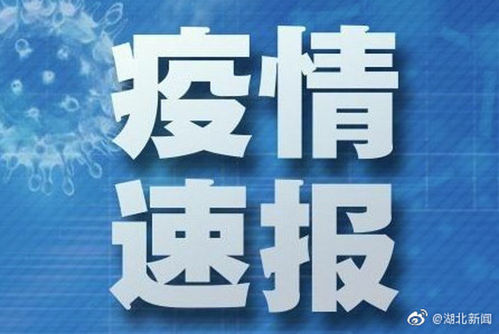 全球新冠疫情最新进展、挑战与通报速递