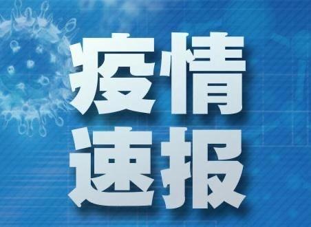 全球抗击疫情最新进展，疫情细节揭秘与新挑战应对