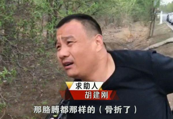 廊坊车祸事件深度剖析